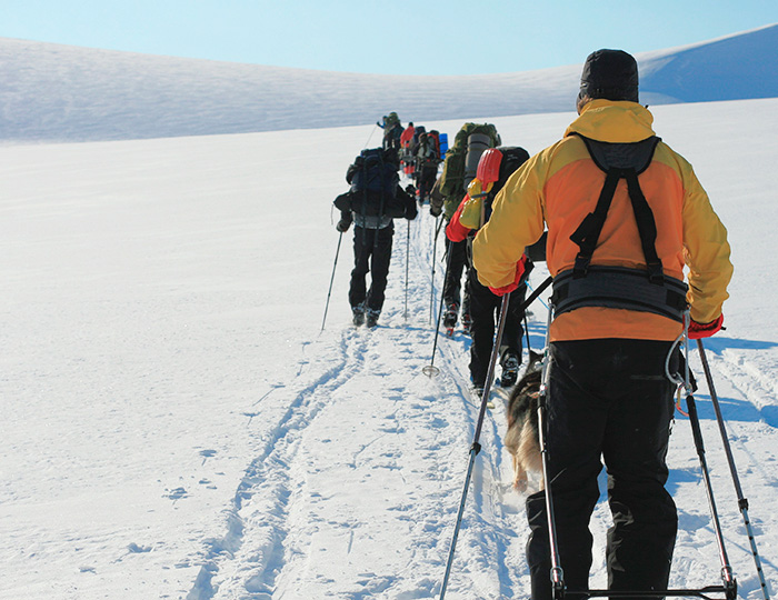 Tour Three Arctic Islands Spitsbergen Greenland And Iceland