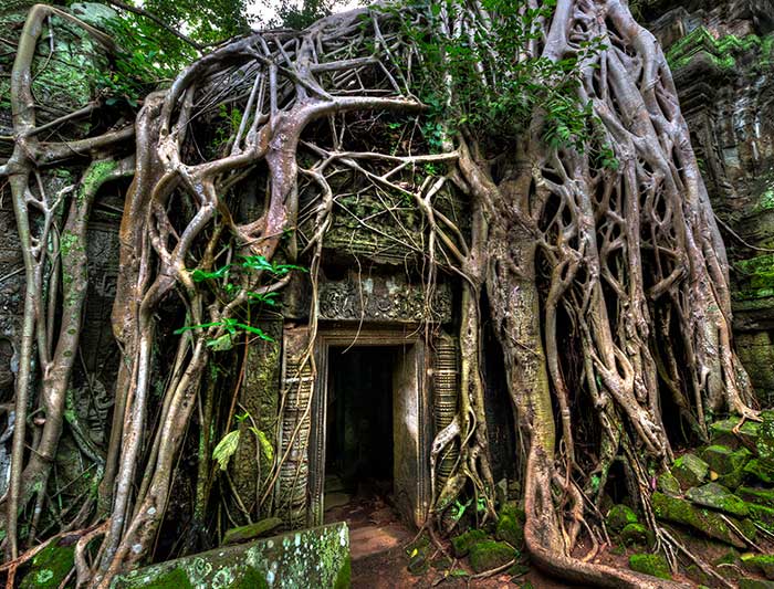 Secrets of Angkor 4