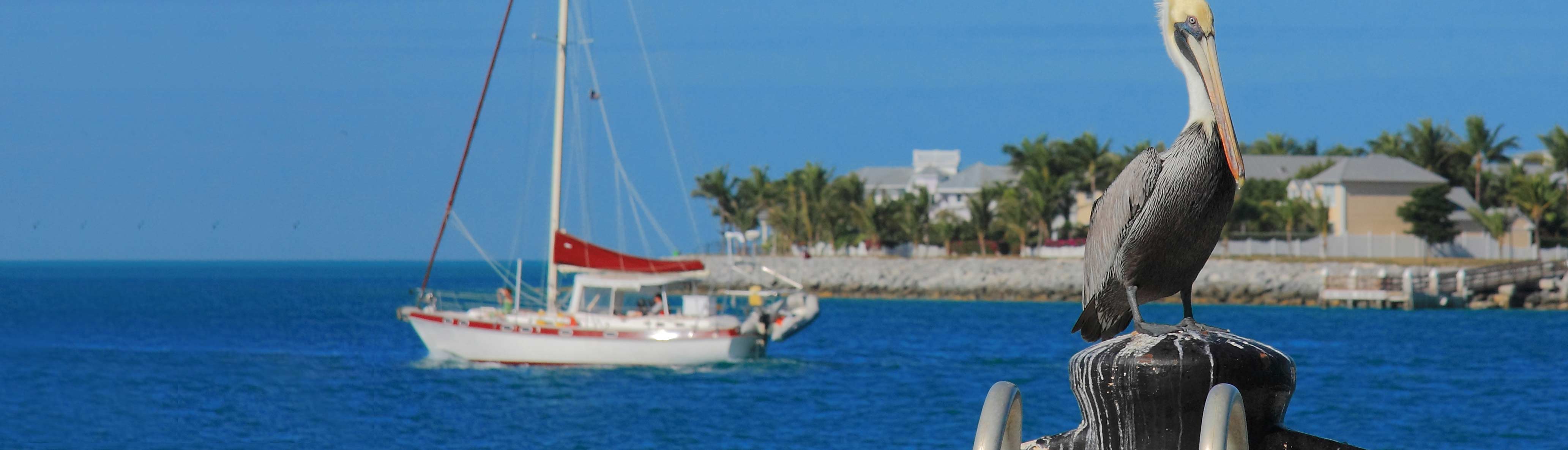 Key West  & Dry Tortugas Sailing Adventure