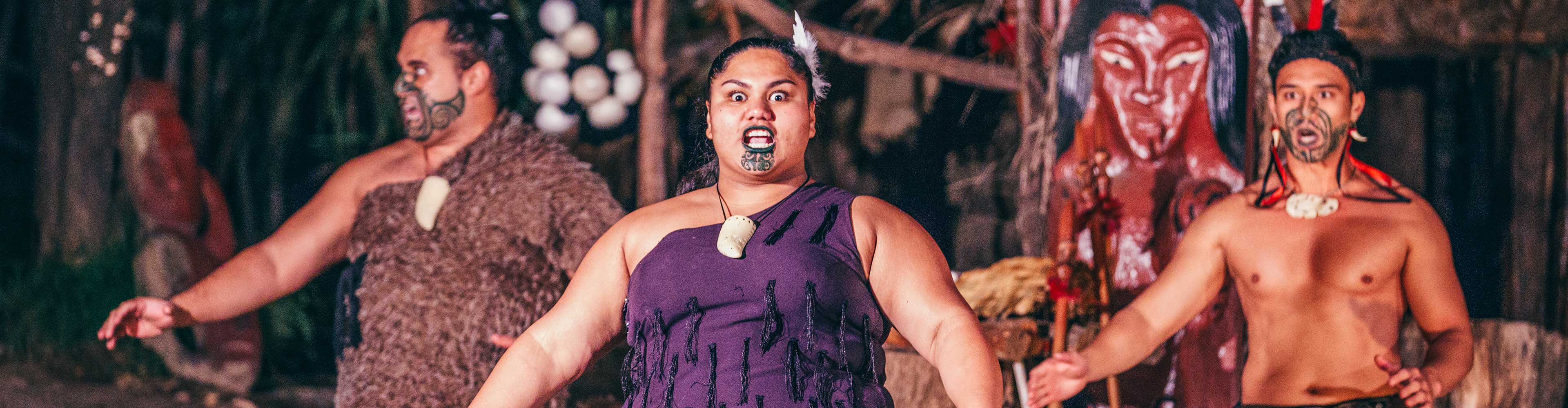 New Zealand North Island Explorer (ex Auckland)