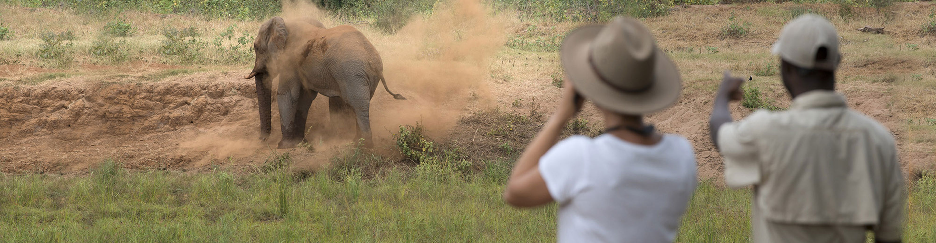 South Africa: Kruger Walking Safari