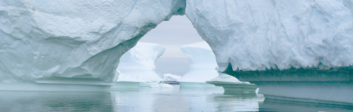 Discover Antarctica 11 days from Ushuaia