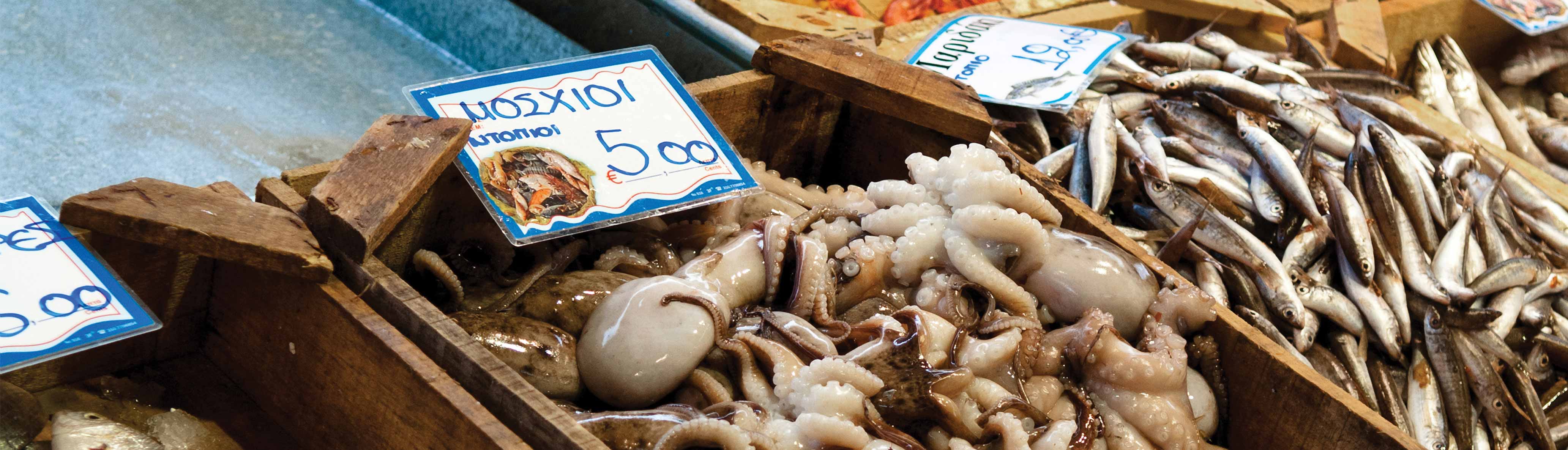 Greece Real Food Adventure