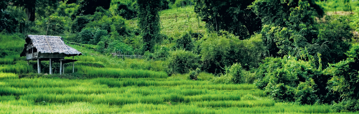 Chiang Mai Adventure