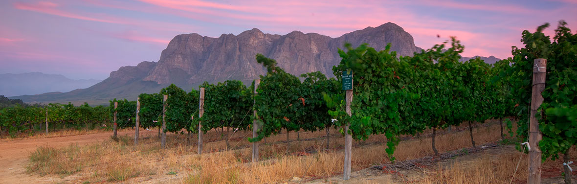 Cape Town & Winelands