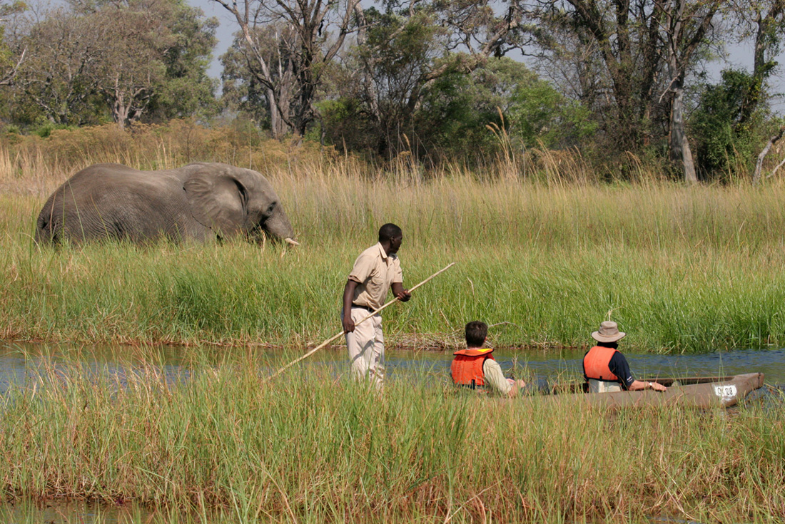 Okavango Delta Fly-In Safari 1