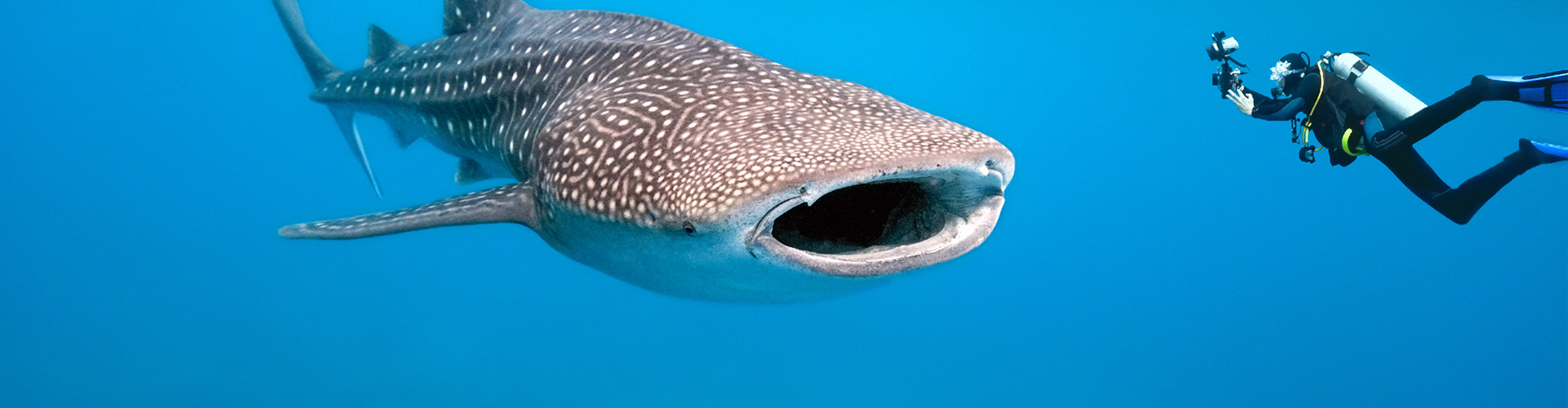 Djibouti’s Footsteps of the Afar