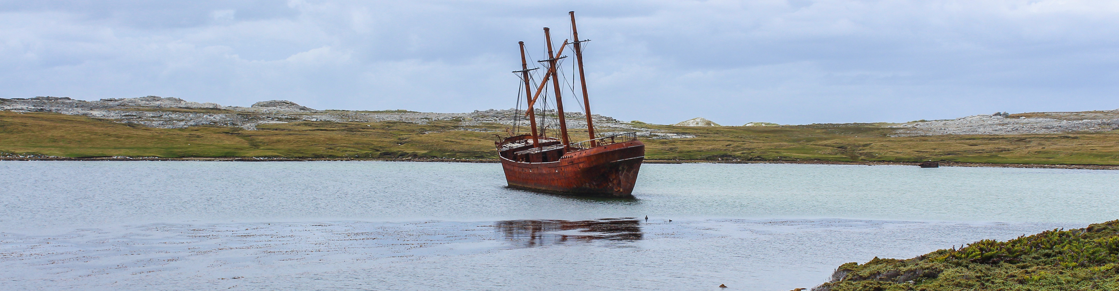 Falkland Islands Expedition: Past & Present 