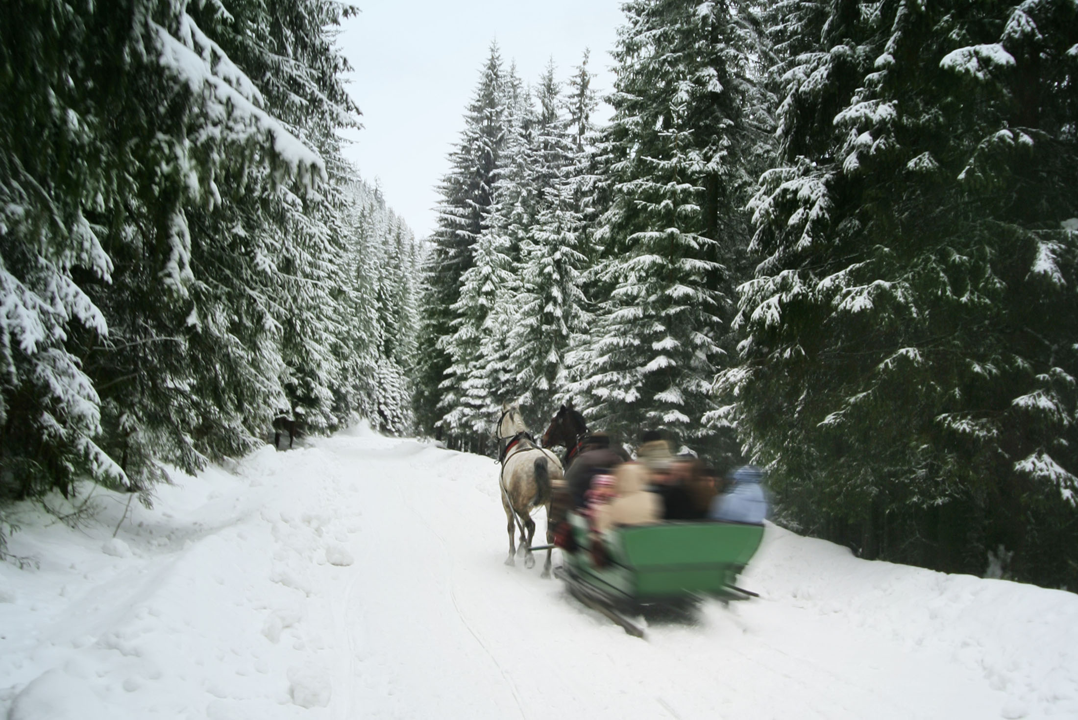 Winter Tatra Adventure 2