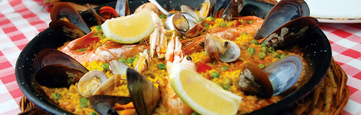 North Spain Discovery