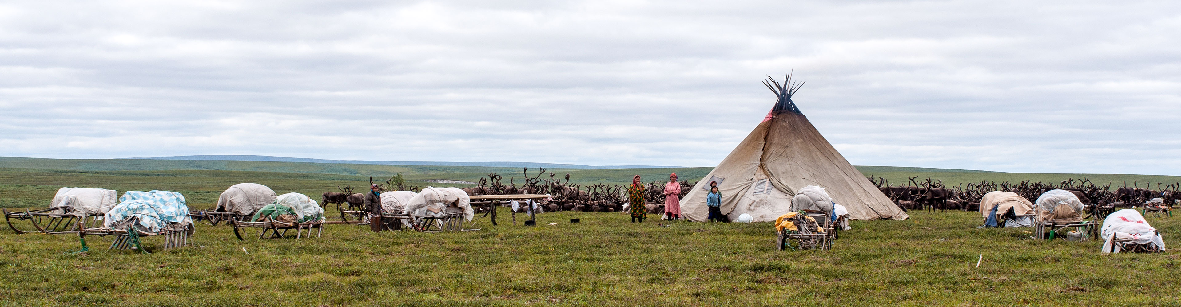 Russia Expedition: Footsteps of the Reindeer Herders