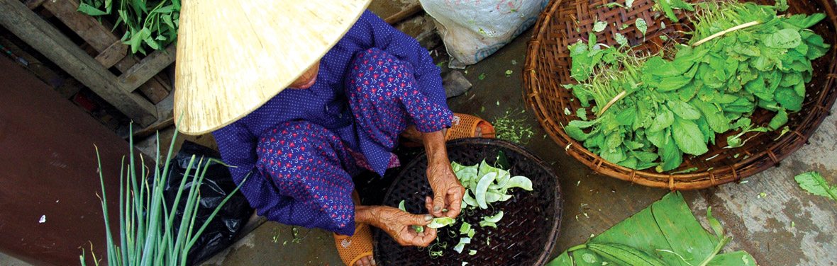 Vietnam & Cambodia Adventure