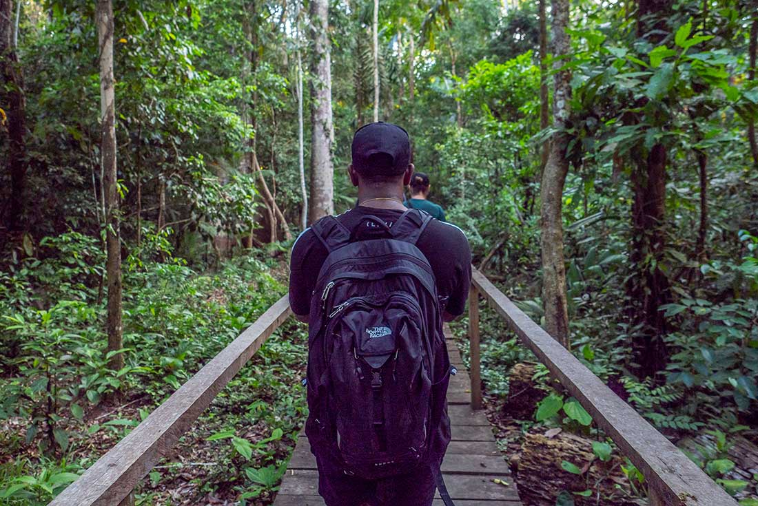 Ecuador: Amazon Jungle Sacha Lodge Short Break 3