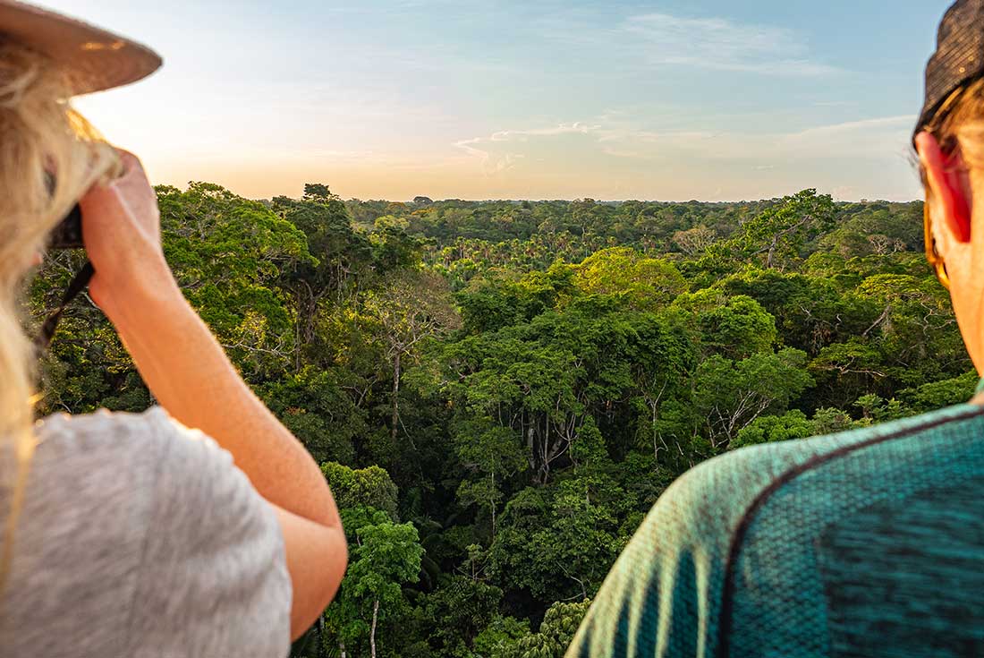 Ecuador: Amazon Jungle Sacha Lodge Short Break 4