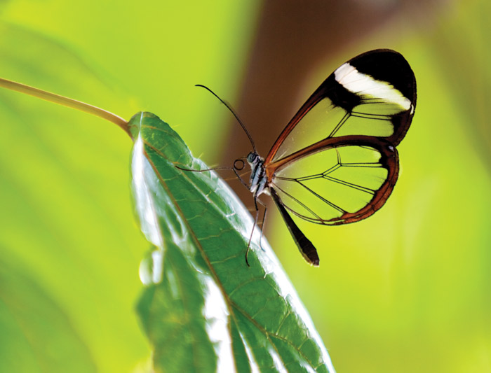 Ecuador: Amazon Jungle Short Break 1