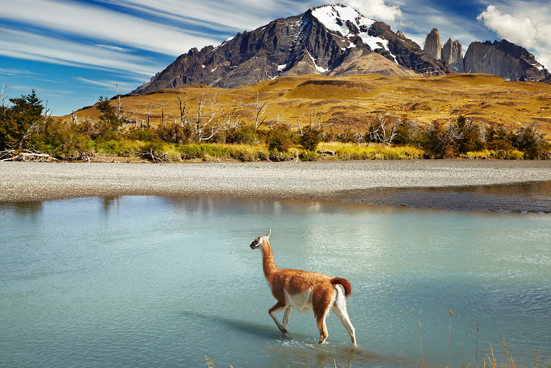 Patagonia Wilderness 1