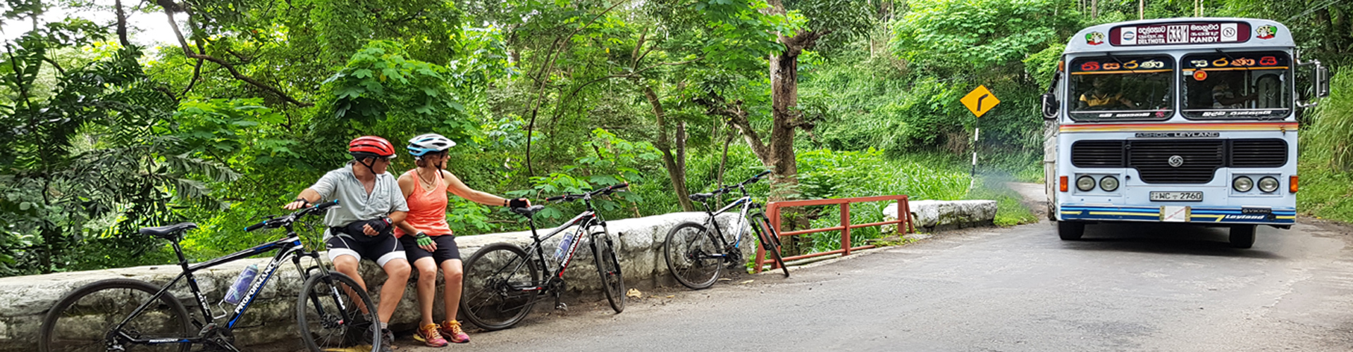 Cycle Sri Lanka: North