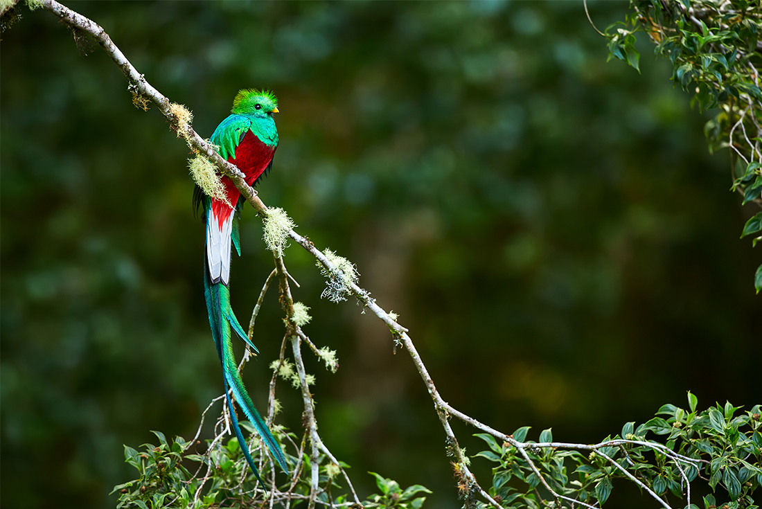 Costa Rica to Panama