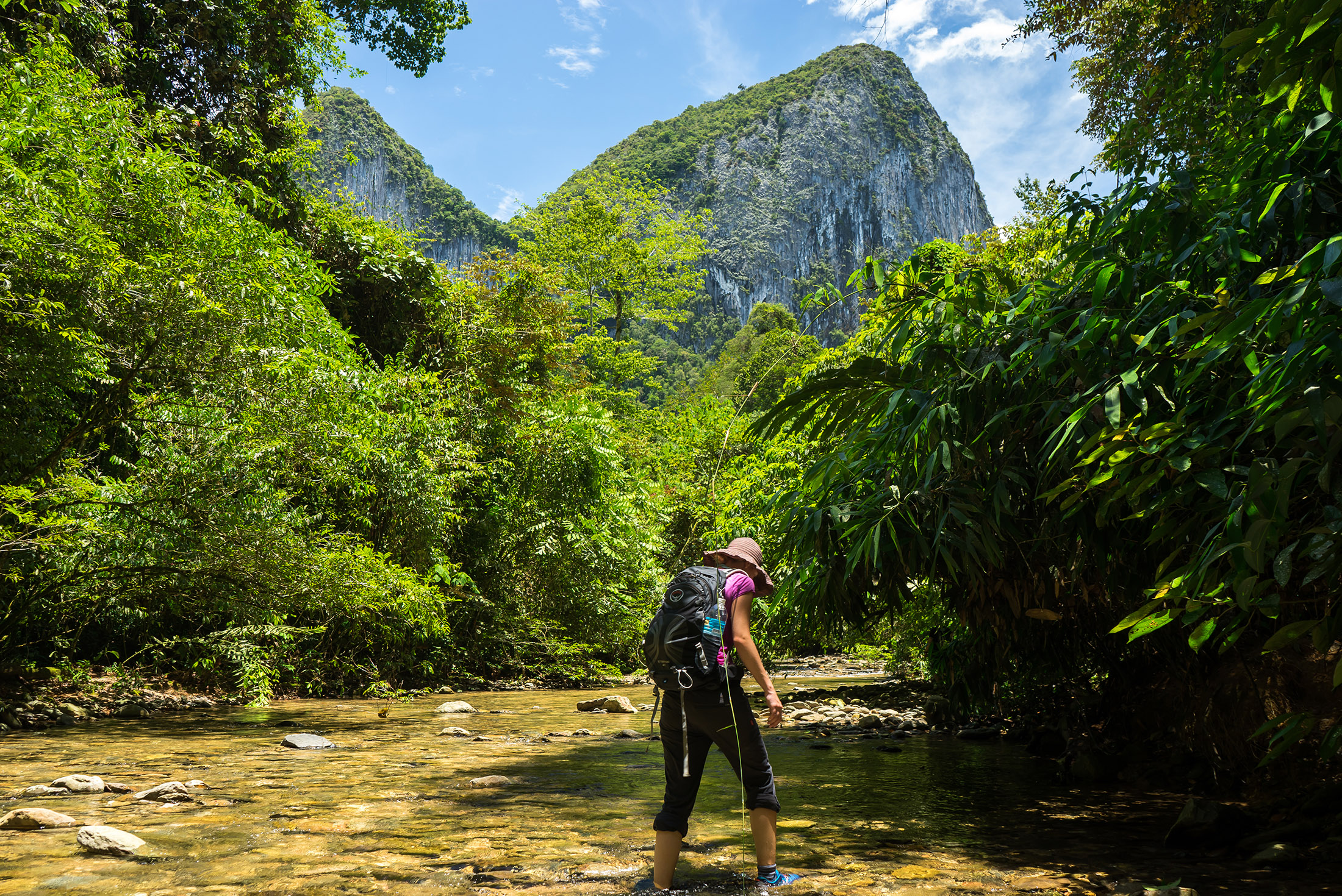 Wild Sarawak 1