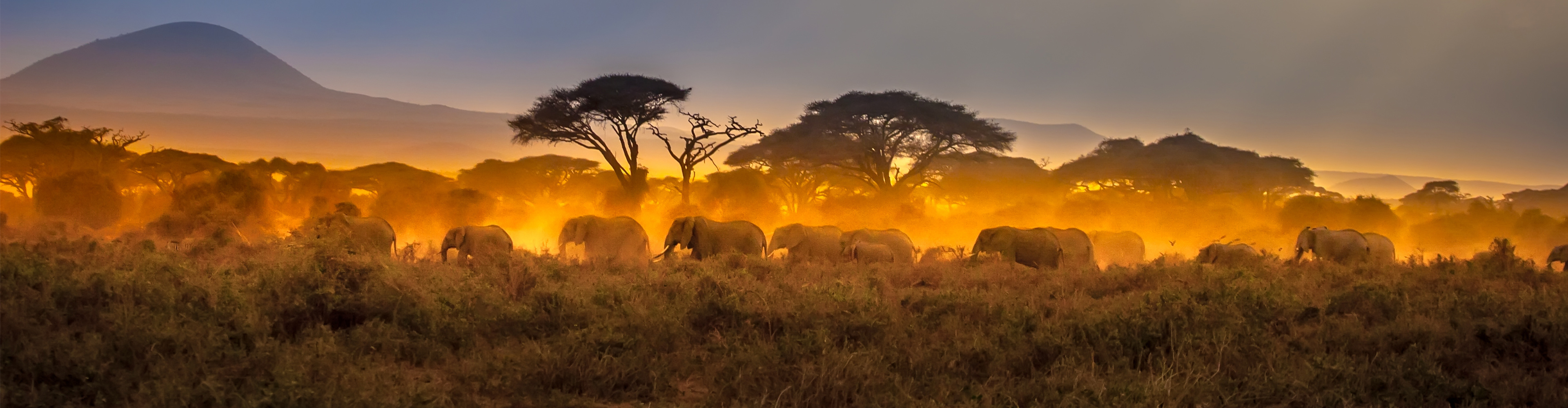 Kenya: Wildlife Rangers Expedition