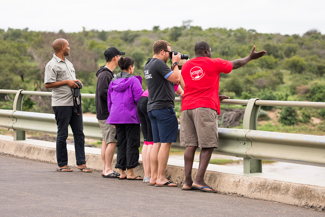 Kruger, Coast & Cape 2