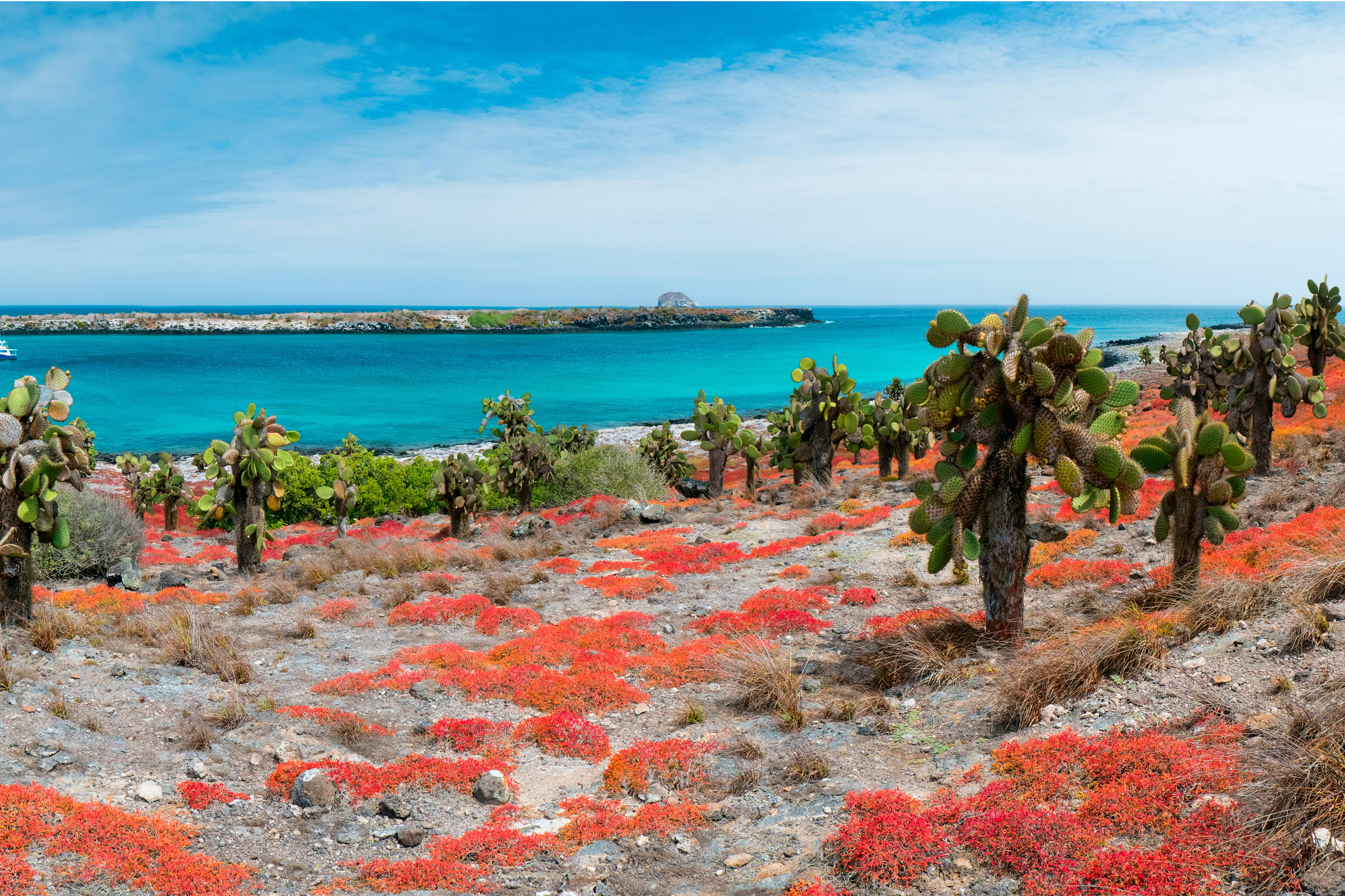 Galapagos at a Glance: Southern Islands (Grand Daphne) 1