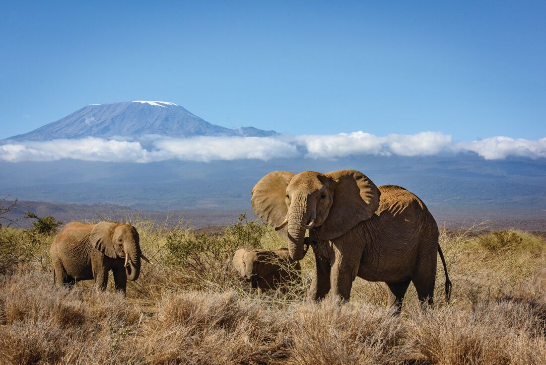 Kilimanjaro & Serengeti Adventure 3