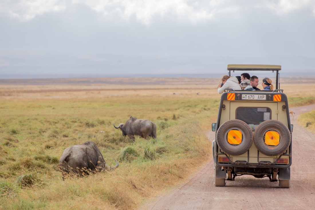 Tanzania Safari 1