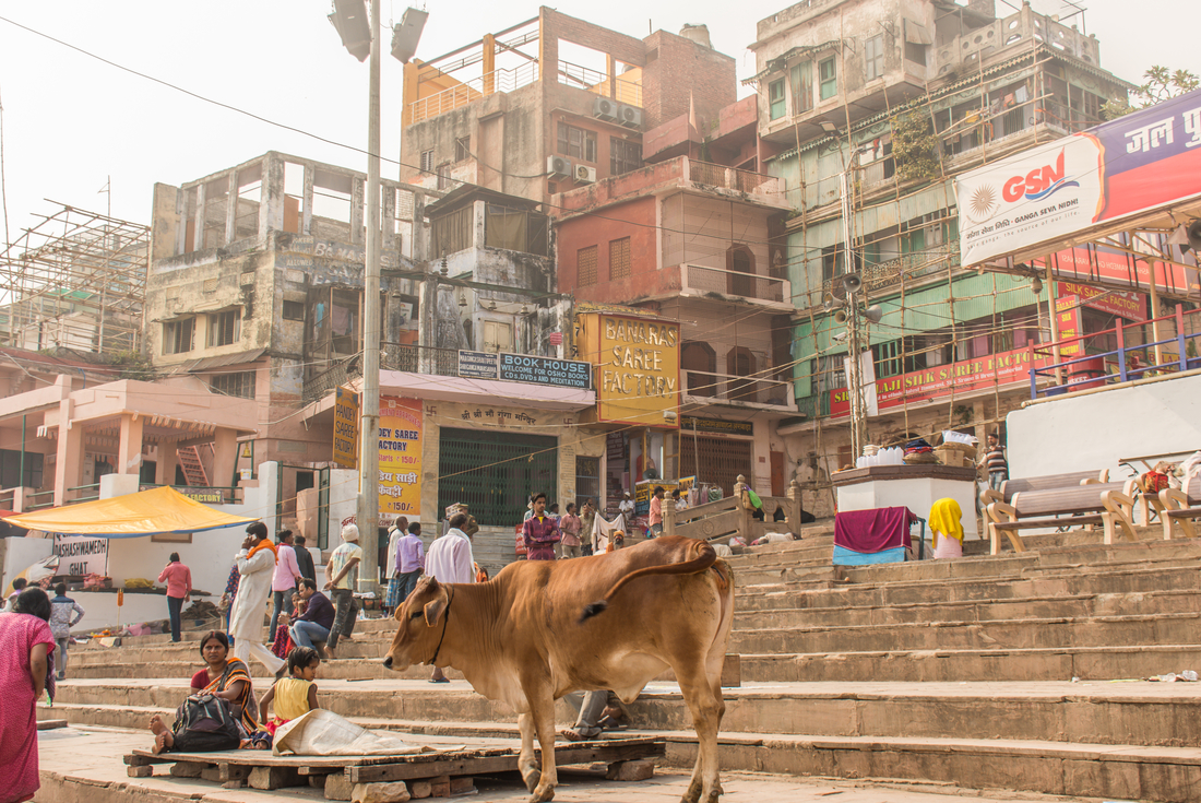 Varanasi Homestay Extension 1