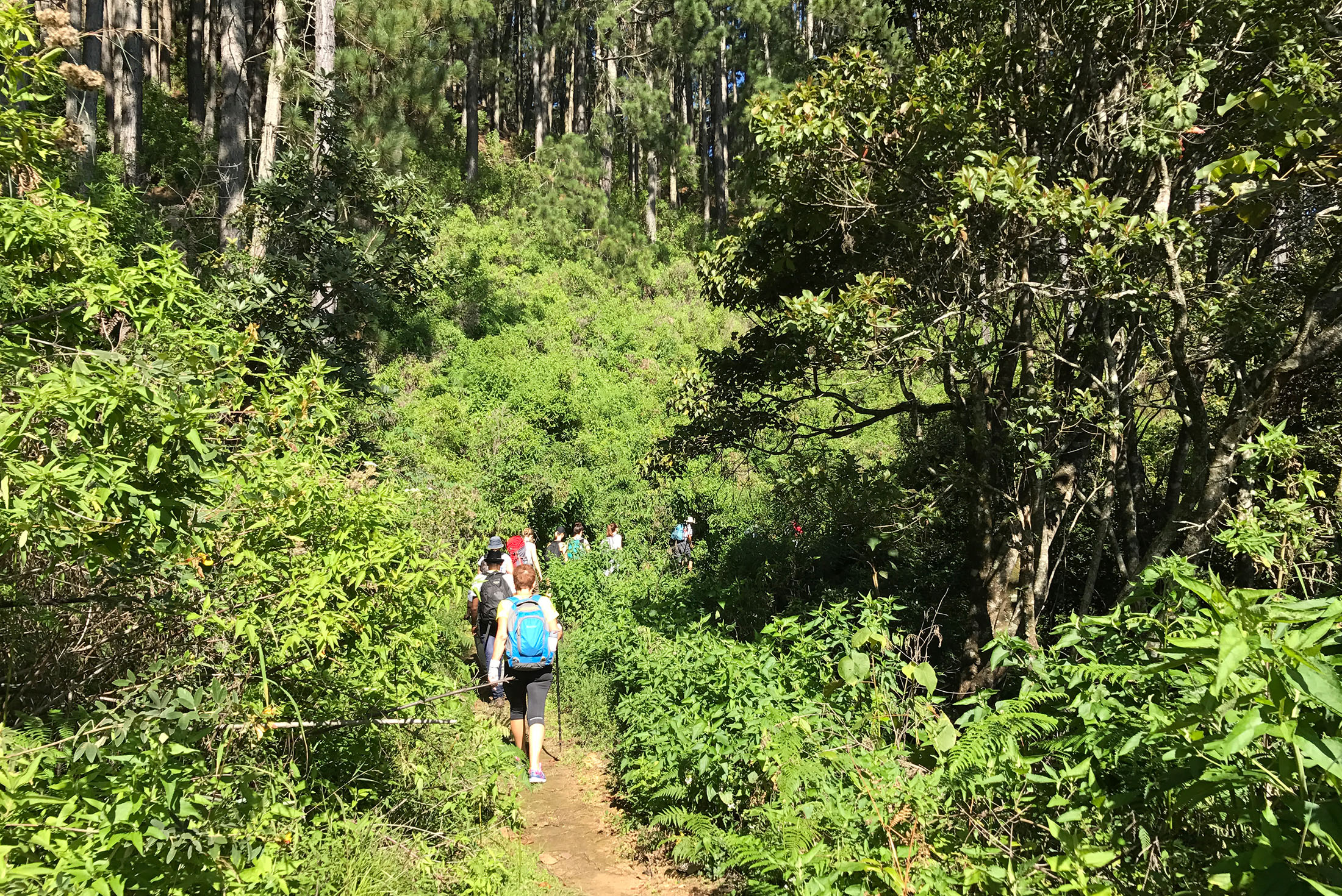 Sri Lanka: Hike, Bike & Kayak 1