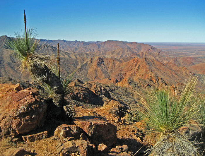 Perth to Adelaide Overland 1