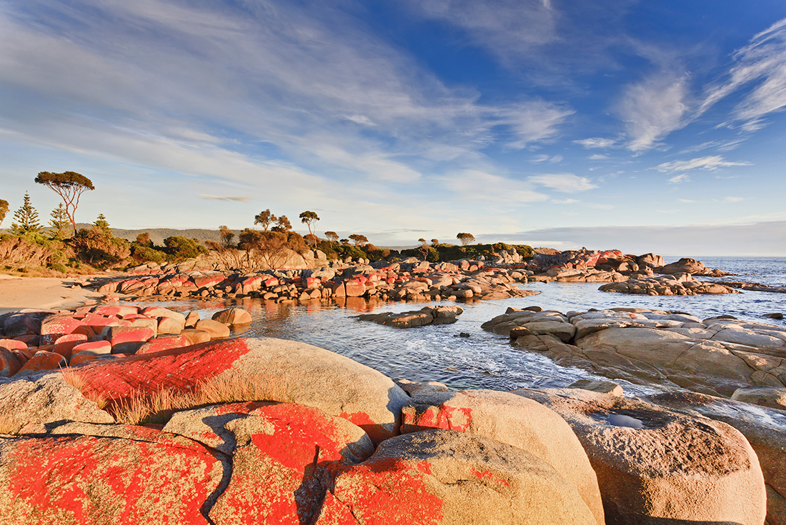 Taste of Tasmania 1