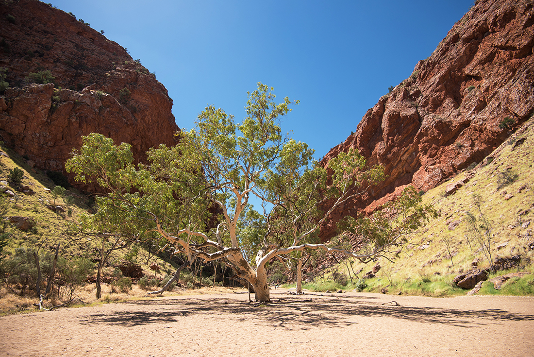 Northern Territory Encompassed Southbound 2