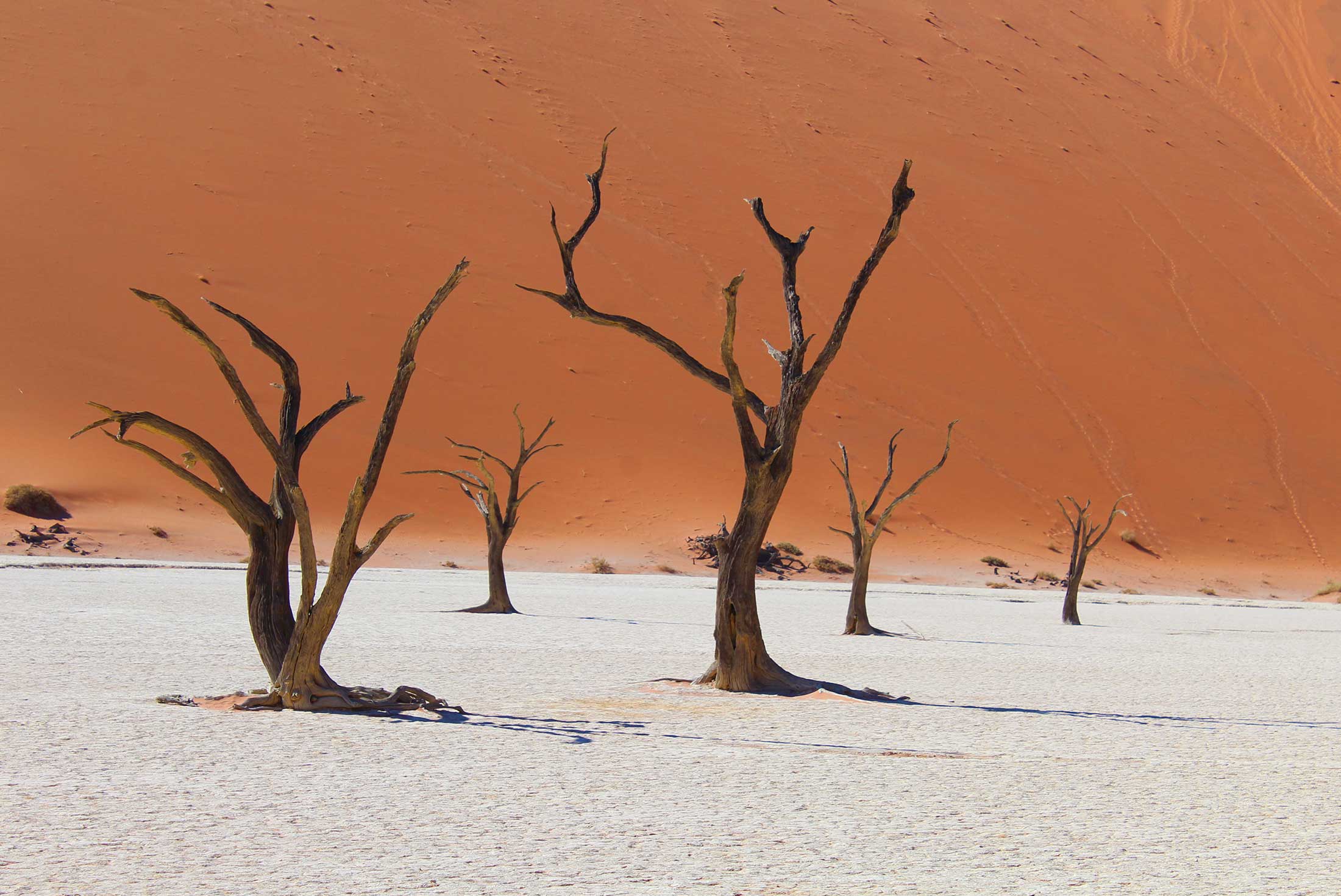 Namibia Dunes - Camping