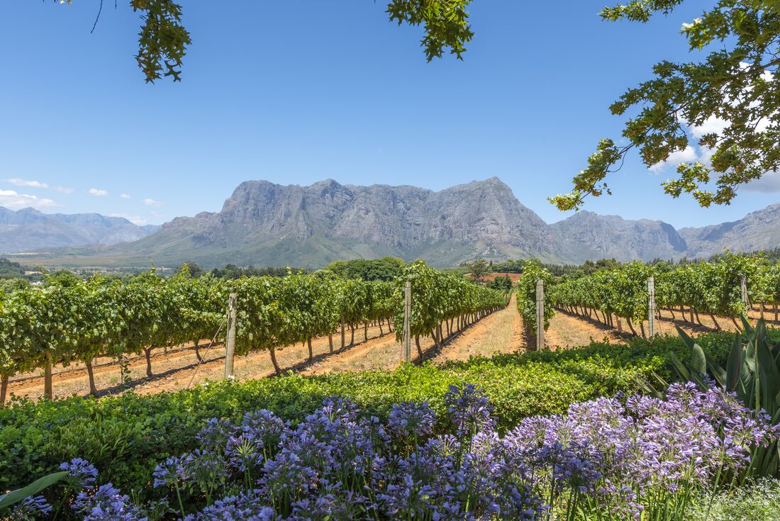 Cape Town & Winelands 1