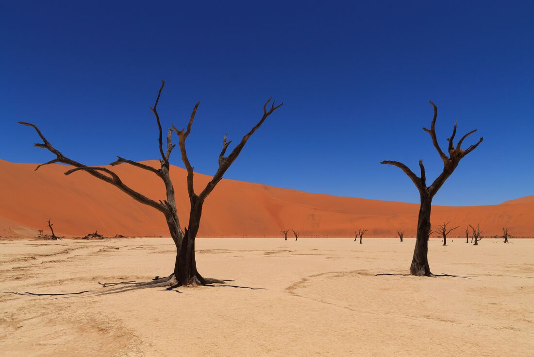 Namibia Dunes 1