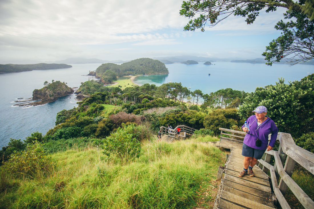 New Zealand North Island Explorer Southbound 1