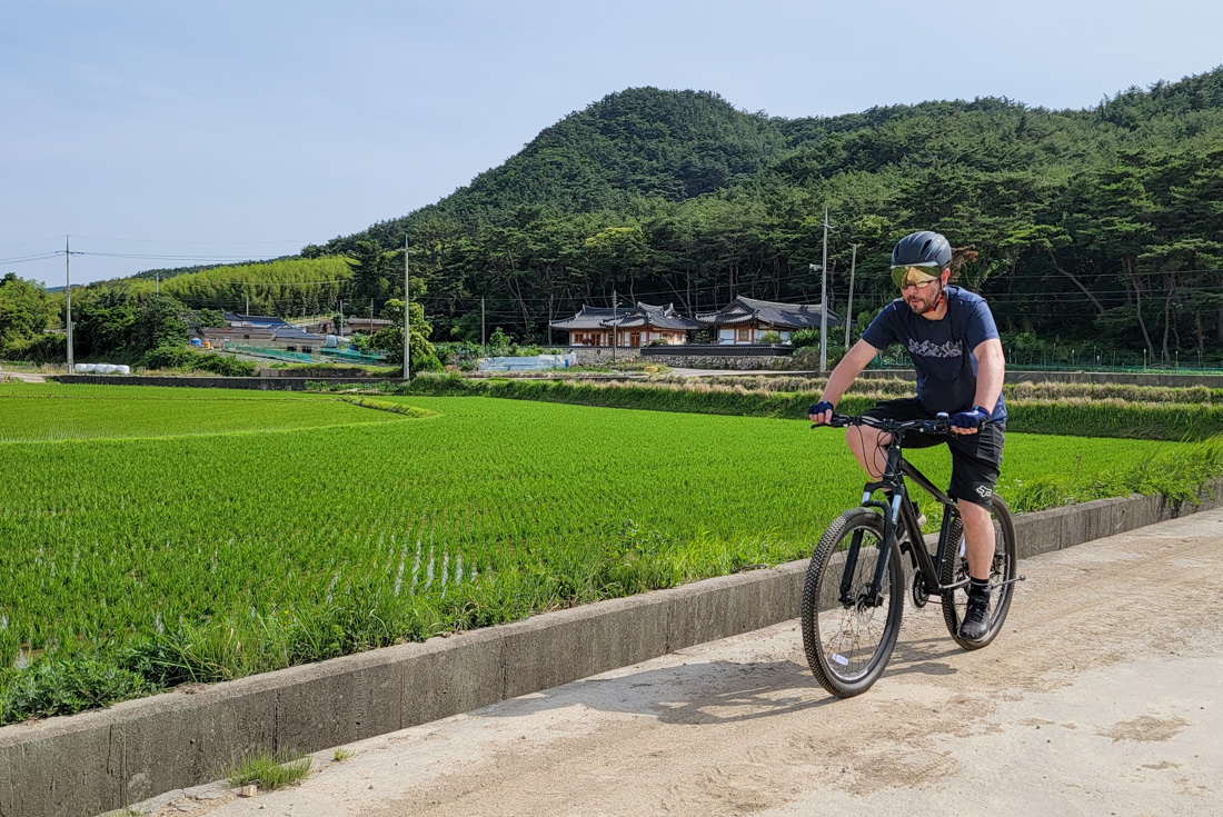 tourhub | Intrepid Travel | Cycle South Korea 