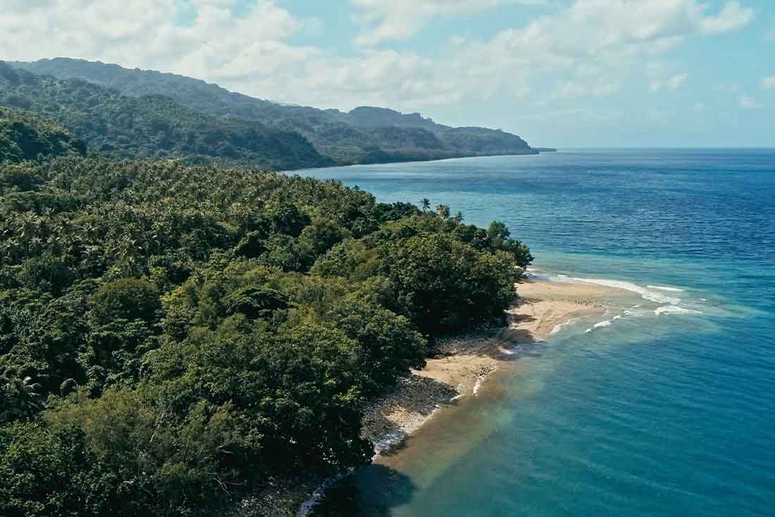 Vanuatu Land Diving Festival 4