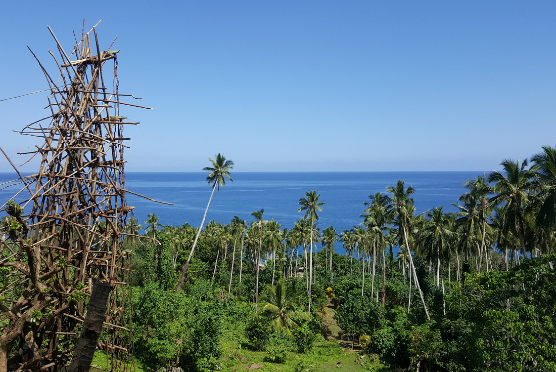 Vanuatu Land Diving Festival 1