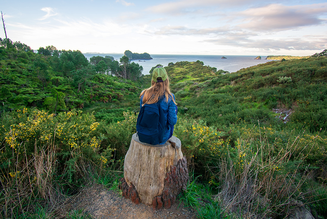 New Zealand North Island: Hike, Bike & Canyon