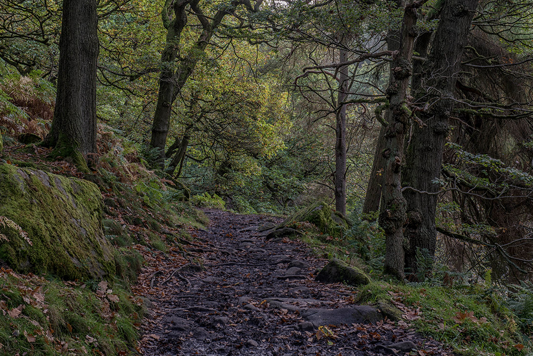 Walk the Peak District