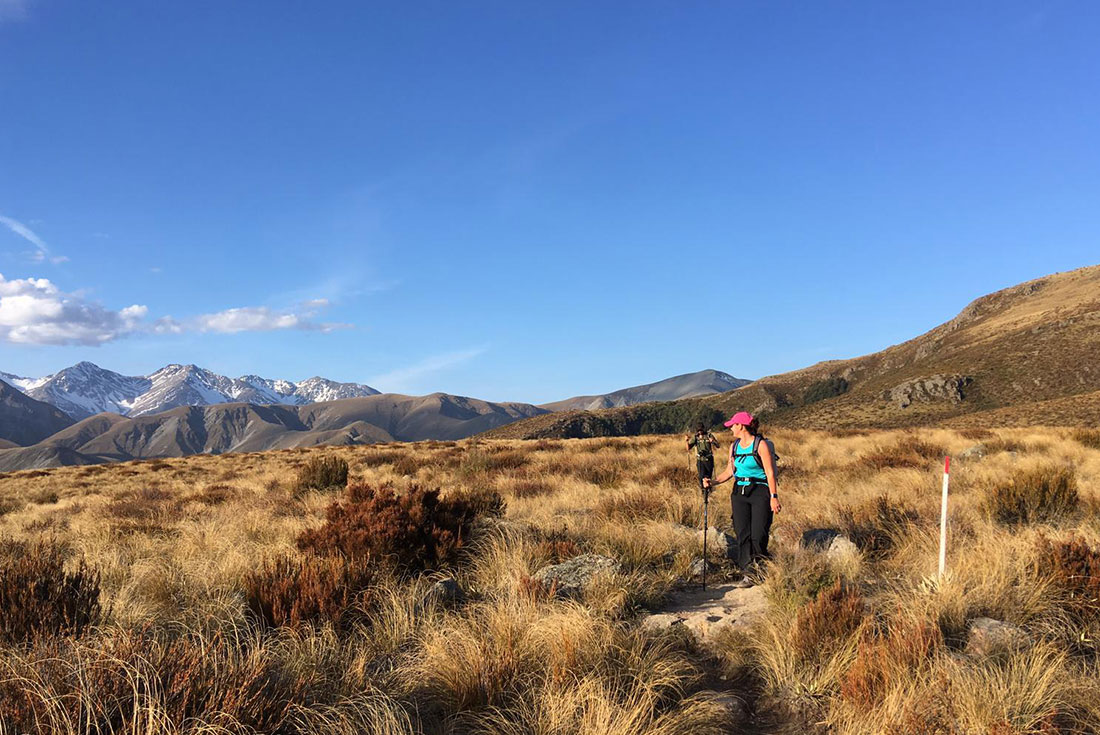 New Zealand Southern Alps: Hike & Bike 2