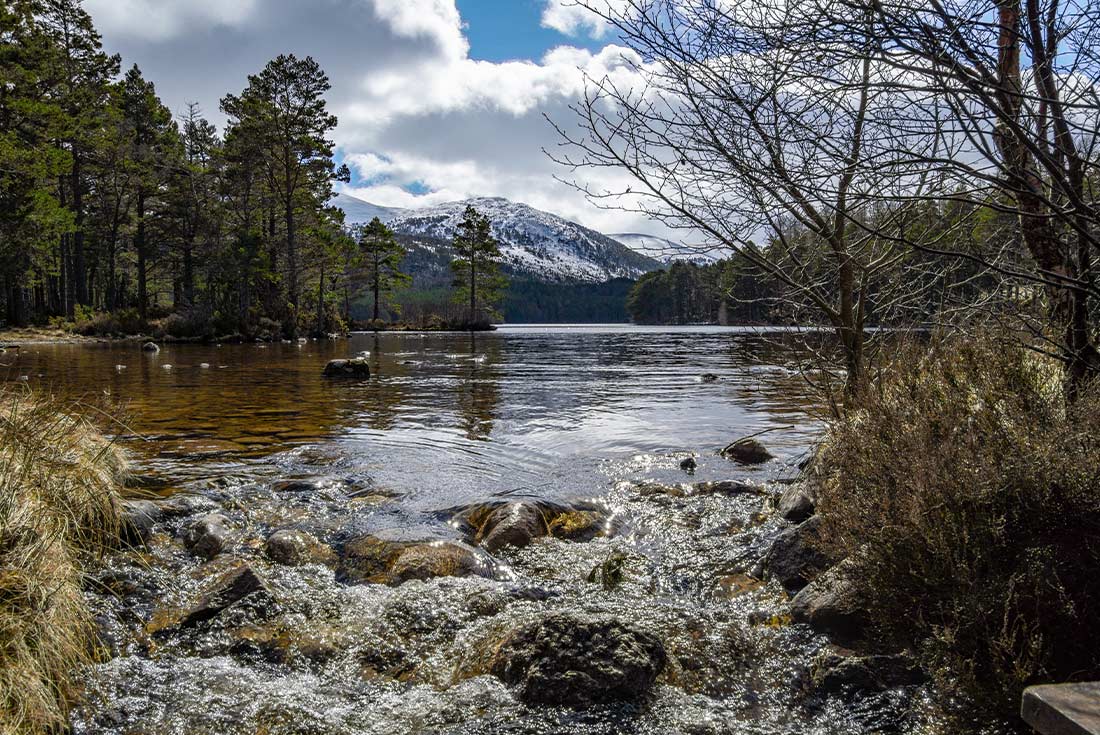 Scotland: Cairngorms Winter Walking 1