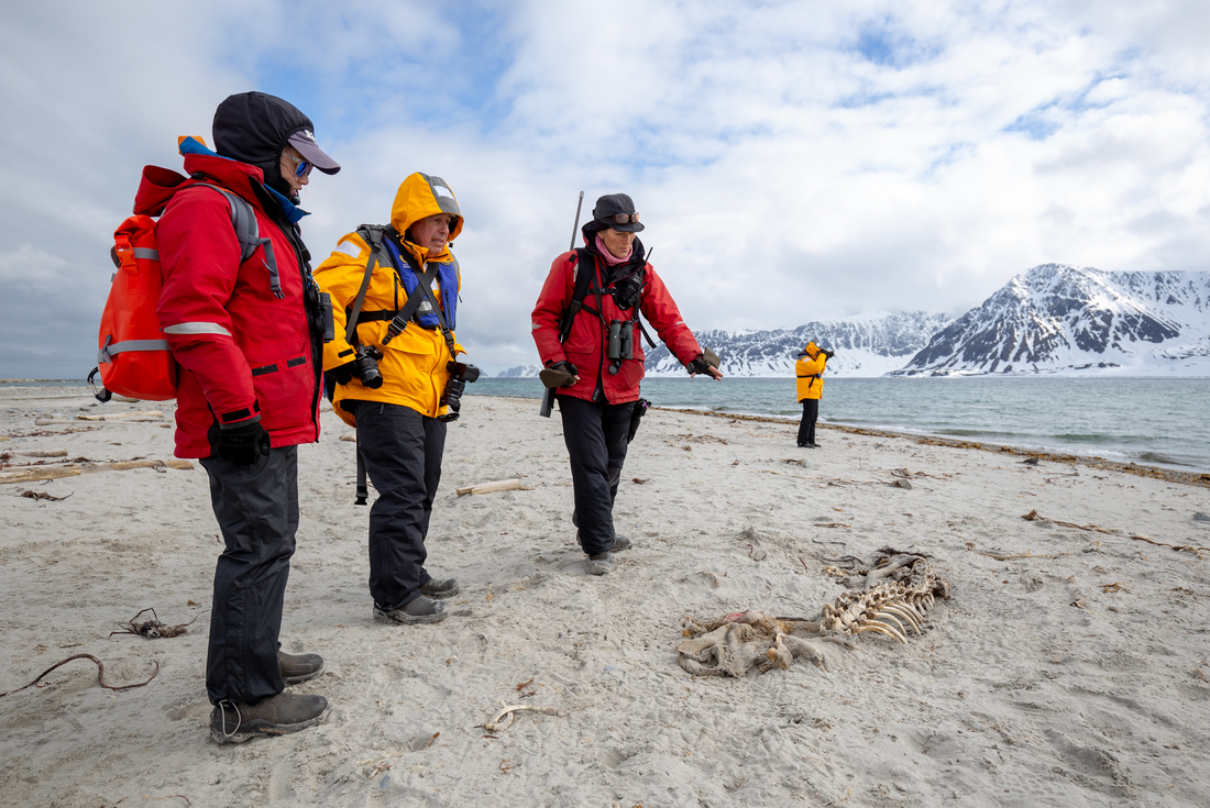 Spitsbergen Photography Adventure 4