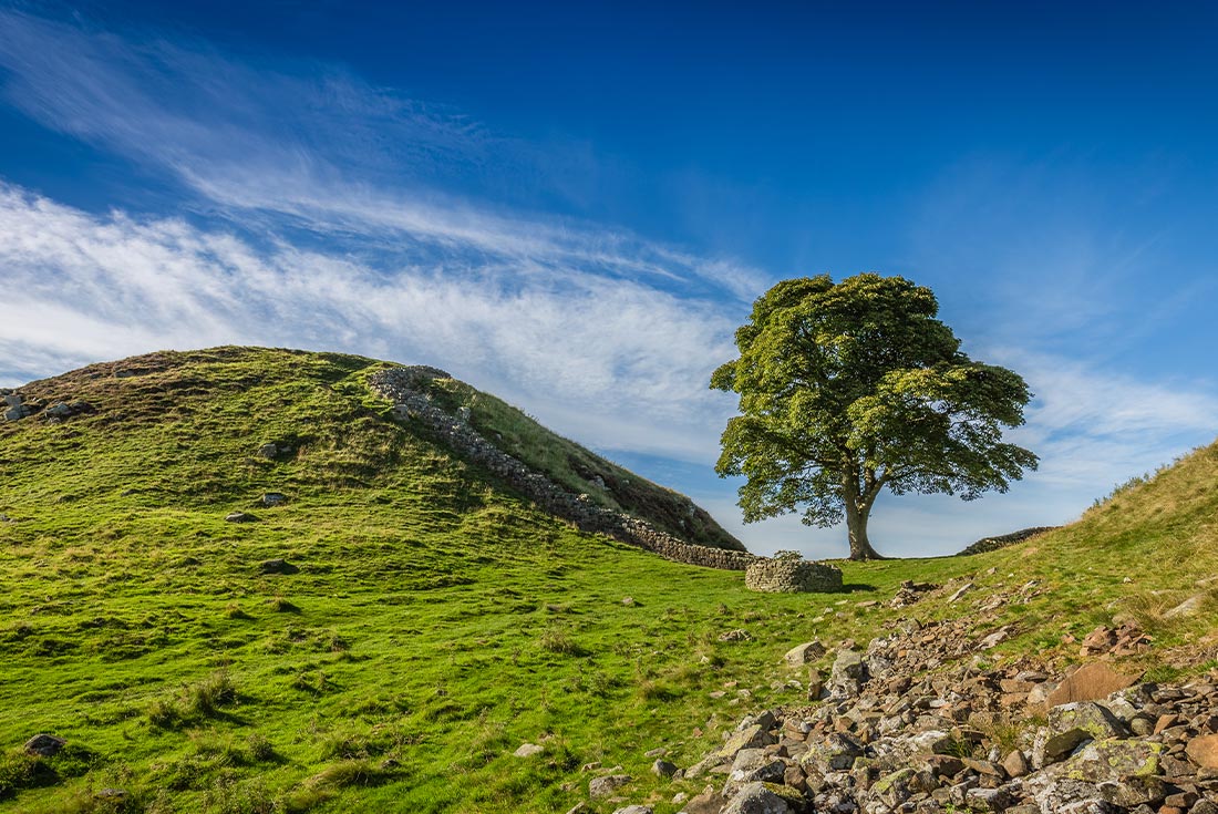 Walk Hadrian’s Wall Highlights 1