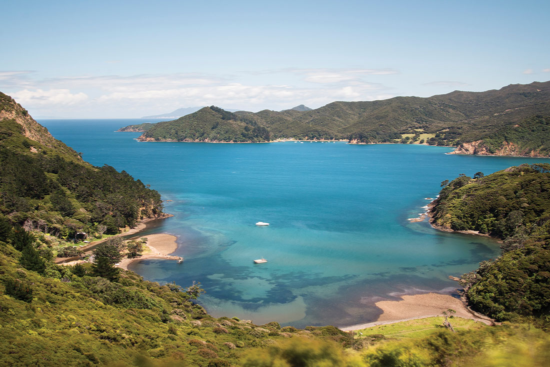 Great Barrier Island Escape