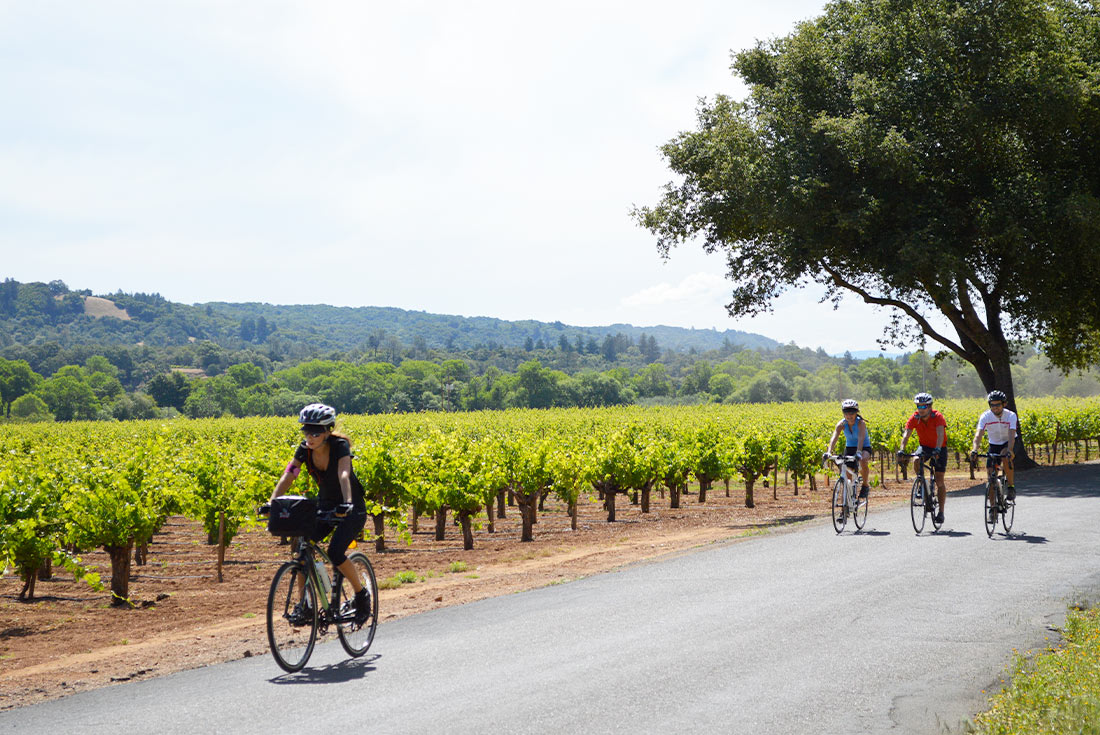 Cycle Sonoma & the Napa Valley 3