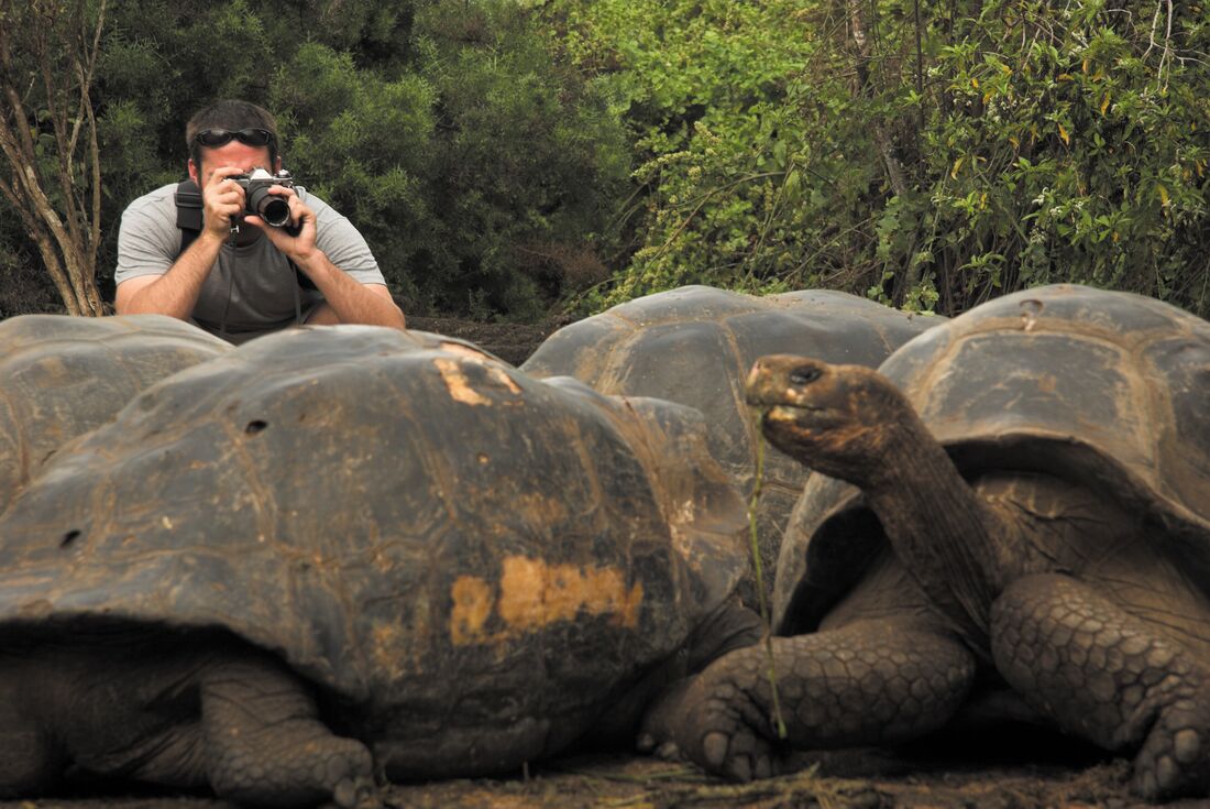 Classic Galapagos: Southern Islands (Grand Queen Beatriz)