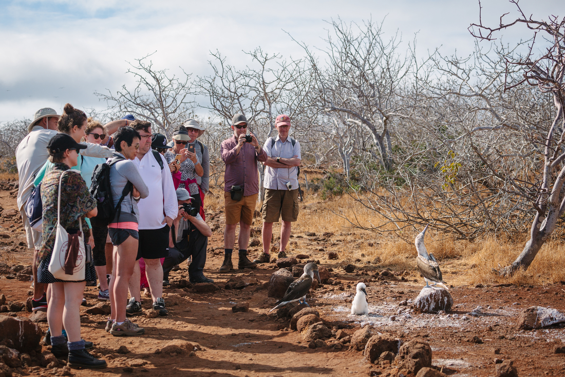 tourhub | Intrepid Travel | Galapagos Explorer: Central Islands (Grand Queen Beatriz) 